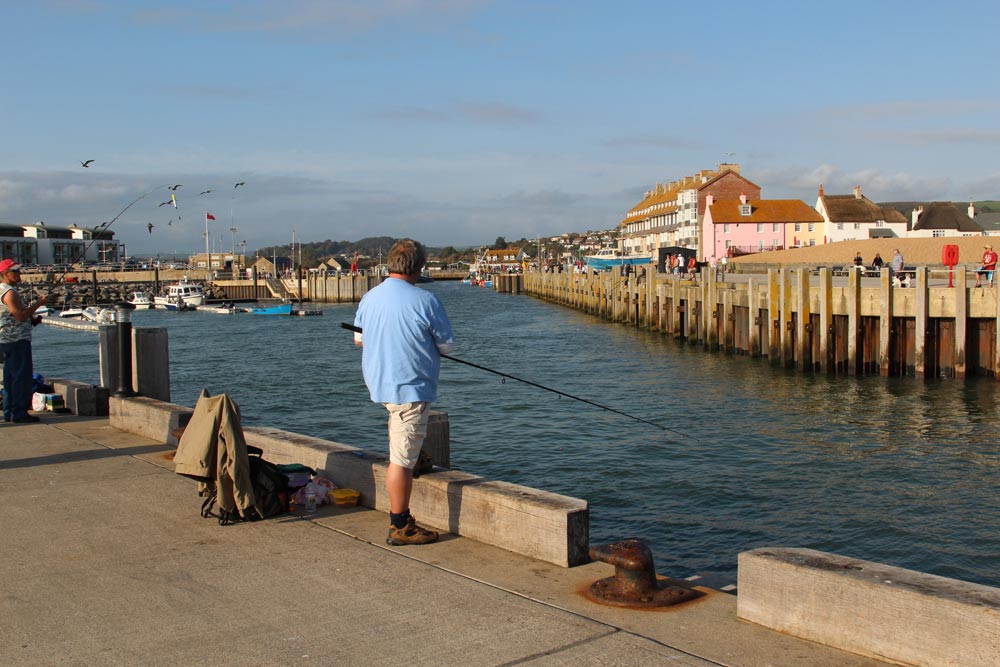 west bay dorset fishing trips