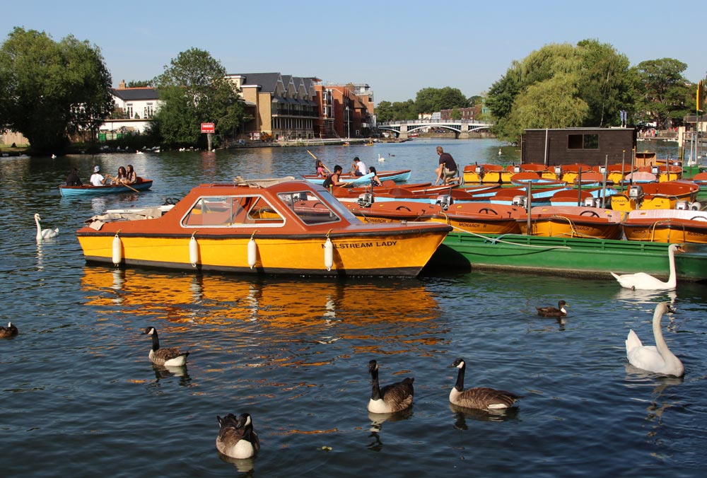 thames boat trips from cookham