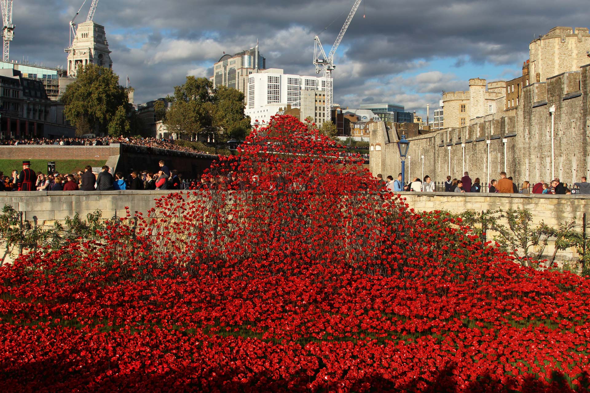 Poppies at the Tower of London Beautiful England Photos
