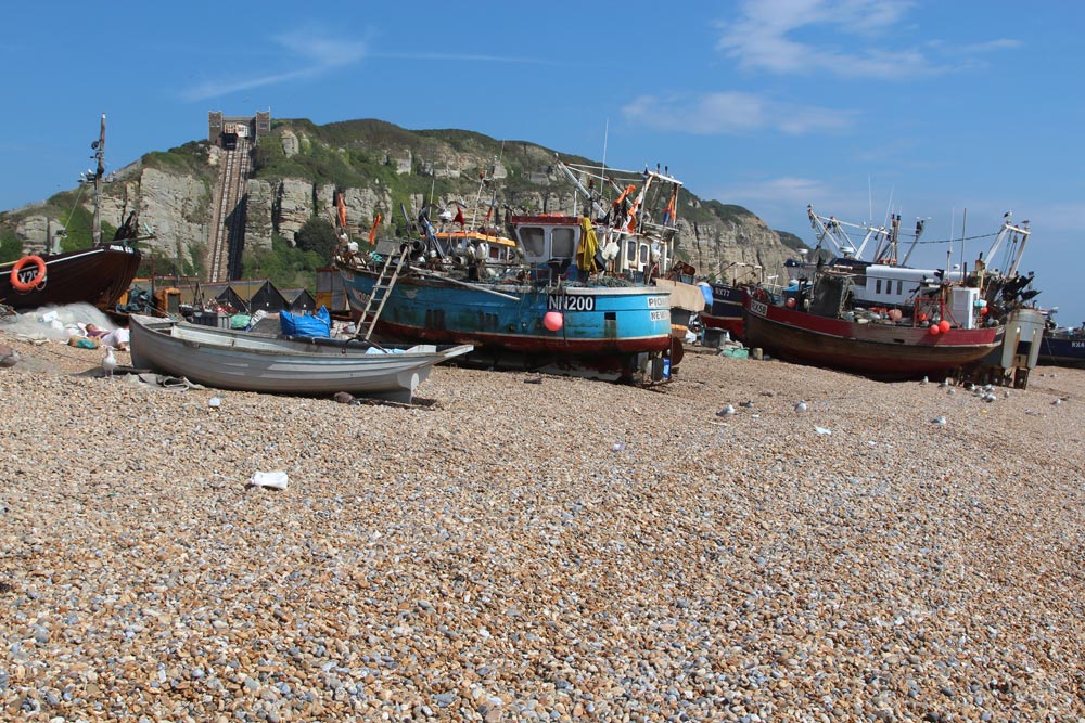 hastings fishing trips