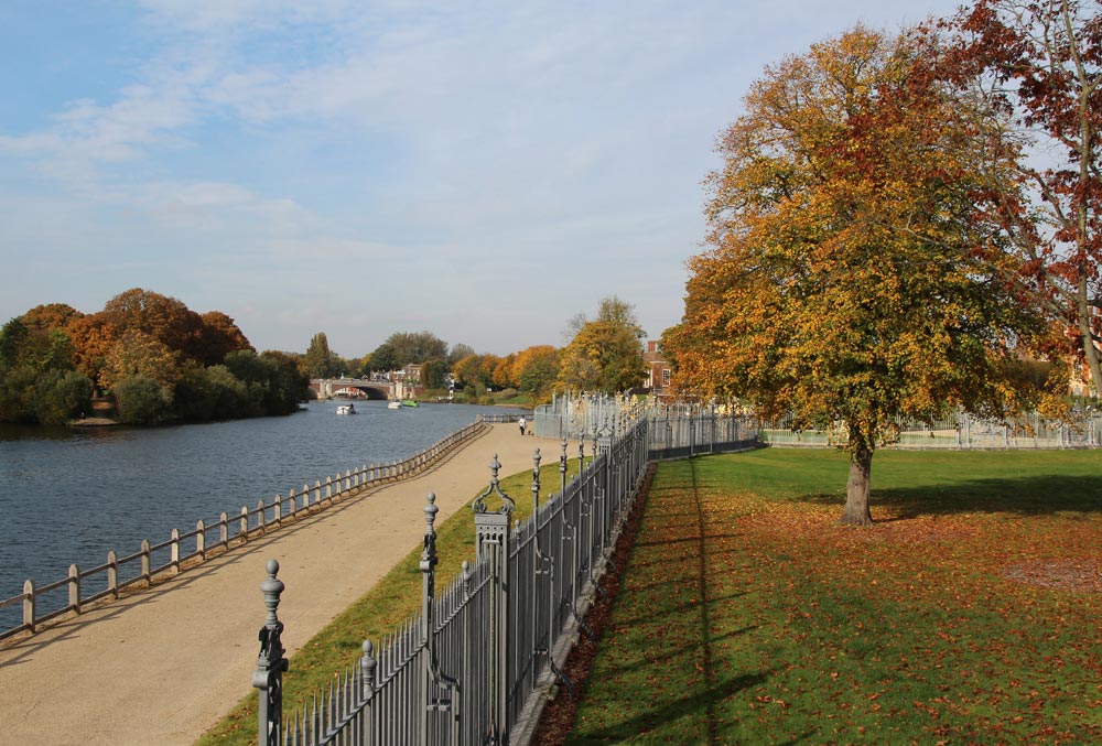 thames river trips to hampton court