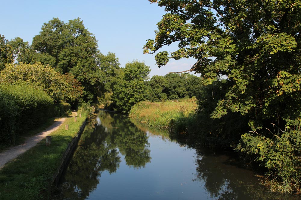 canal trips from odiham